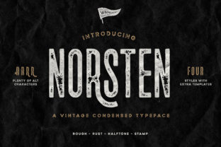 Norsten: The Condensed Sans Serif Font for Retro Brand Identity