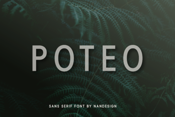 Poteo: The Smooth Sans Serif Font for Modern Campaigns