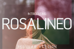 Rosalineo Regular: A Modern Sans Serif Typeface for Editorial Design